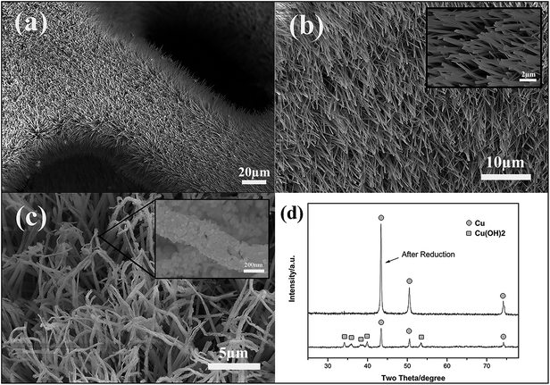 image file: c6ra01325b-f2.tif