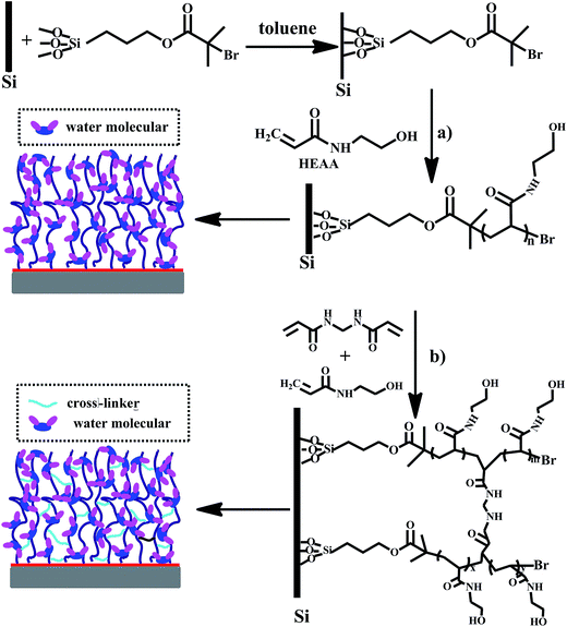 image file: c6ra01436d-s1.tif