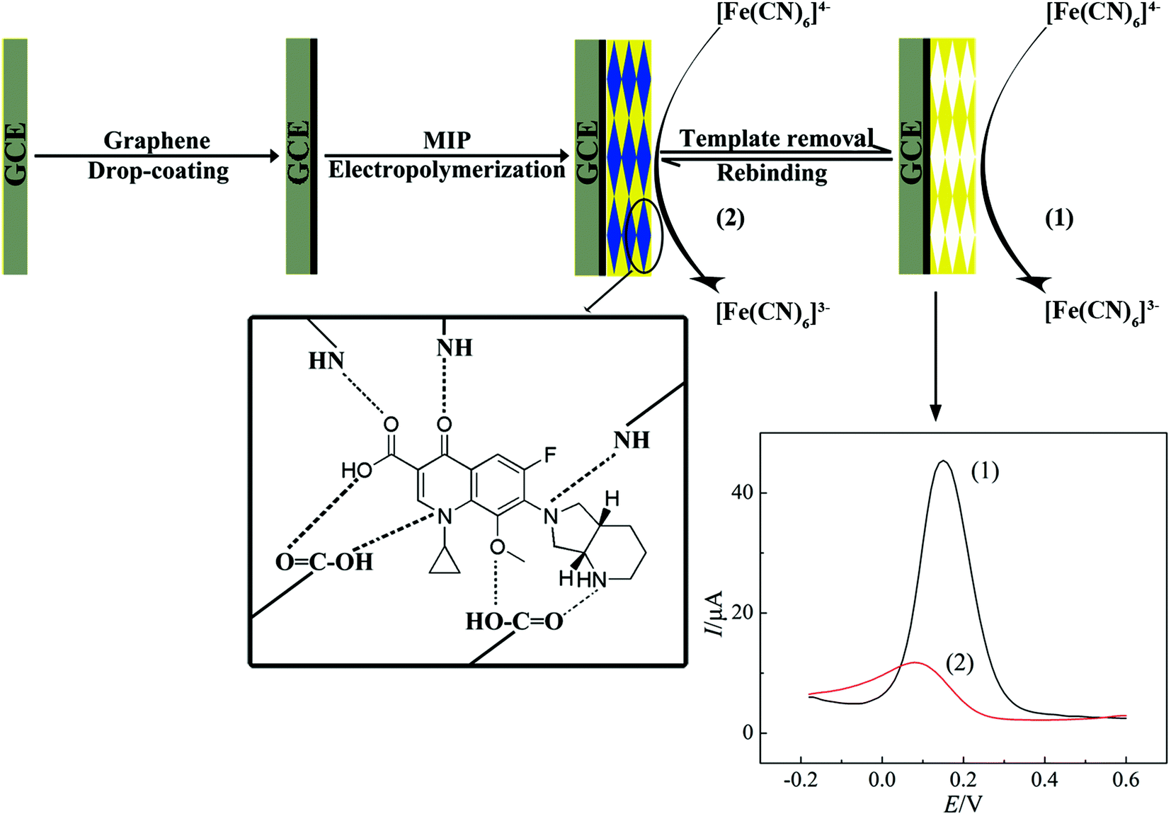 A novel sensor based on bifunctional monomer molecularly imprinted film at  graphene modified glassy carbon electrode for detecting traces of moxifloxa   - RSC Advances (RSC Publishing) DOI:10.1039/C6RA01494A