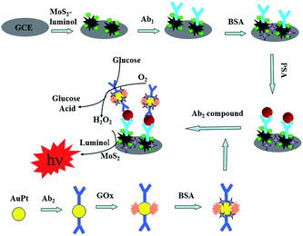 image file: c6ra02104b-s1.tif