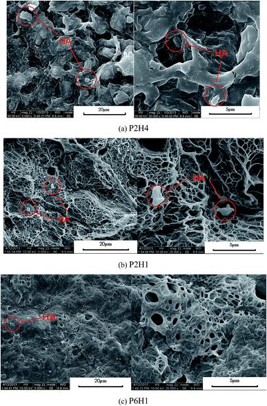 image file: c6ra02166b-f5.tif