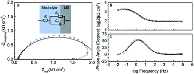 image file: c6ra02215d-f4.tif