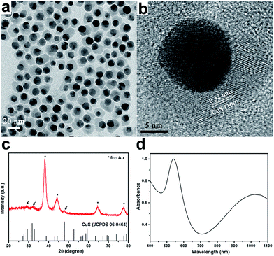 image file: c6ra02425d-f1.tif