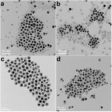 image file: c6ra02425d-f2.tif