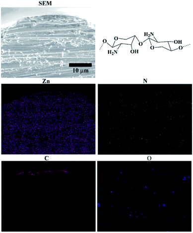 image file: c6ra02696f-f7.tif