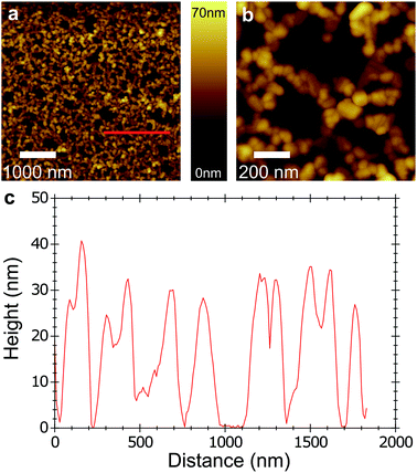 image file: c6ra02720b-f2.tif