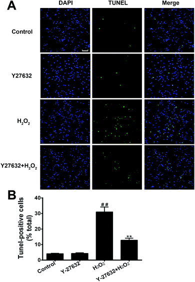 image file: c6ra03284b-f3.tif