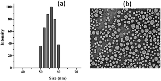 image file: c6ra03332f-f2.tif