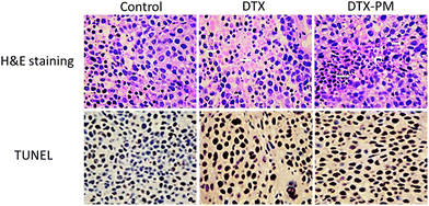 image file: c6ra03332f-f7.tif