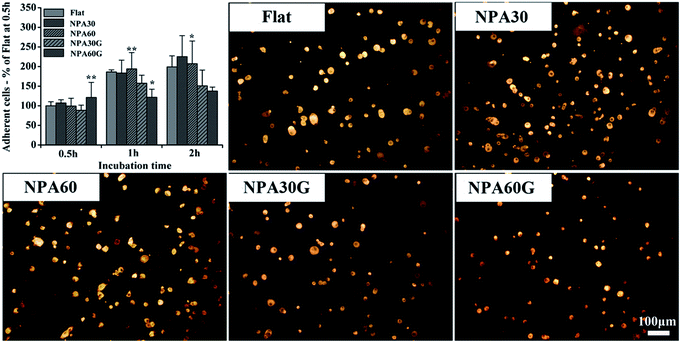image file: c6ra04018g-f5.tif