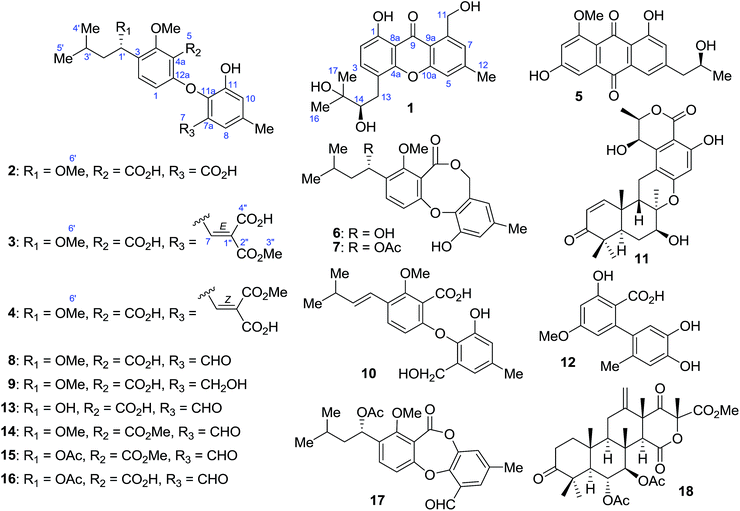 image file: c6ra04401h-f1.tif