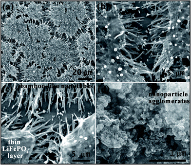 image file: c6ra04468a-f3.tif