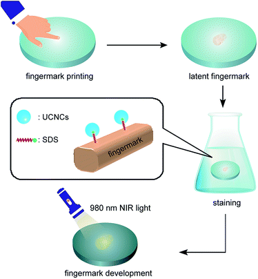 image file: c6ra04573a-f1.tif