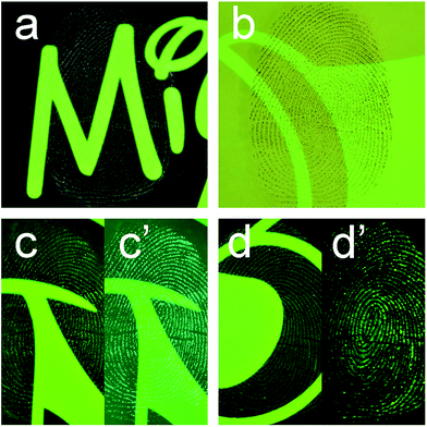 image file: c6ra04573a-f3.tif