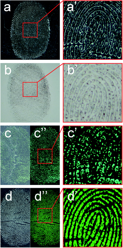 image file: c6ra04573a-f4.tif