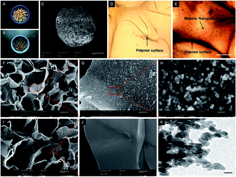 image file: c6ra04686j-f2.tif