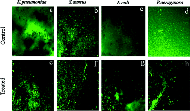image file: c6ra05003d-f13.tif