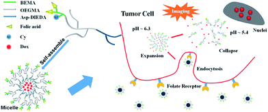 image file: c6ra05657a-s1.tif