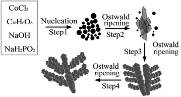 image file: c6ra06112e-f7.tif