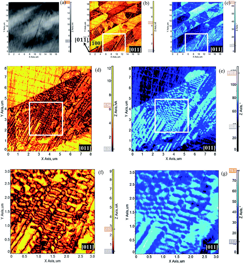 image file: c6ra07205d-f5.tif