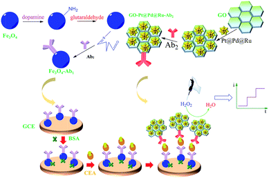 image file: c6ra07328j-s1.tif