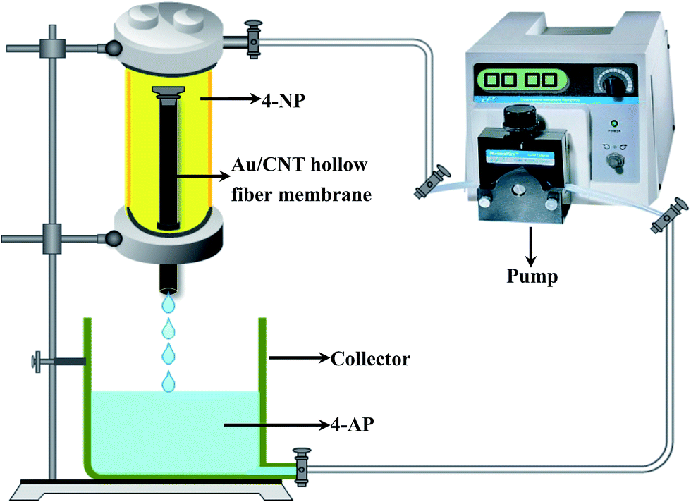 Fabrication of Au/CNT hollow fiber membrane for 4-nitrophenol 