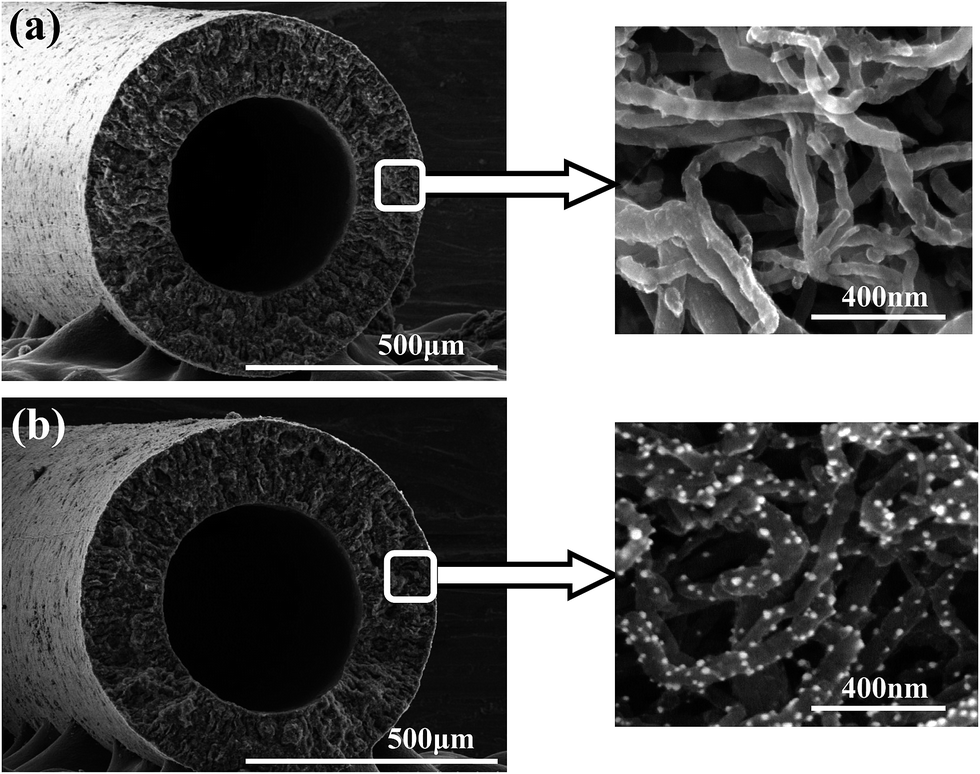 Fabrication of Au/CNT hollow fiber membrane for 4-nitrophenol 