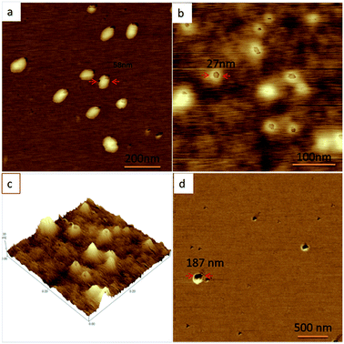 image file: c6ra07799d-f1.tif