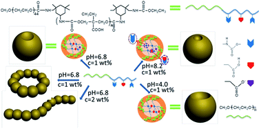 image file: c6ra07799d-s1.tif