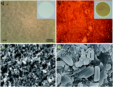 image file: c6ra08397h-f6.tif