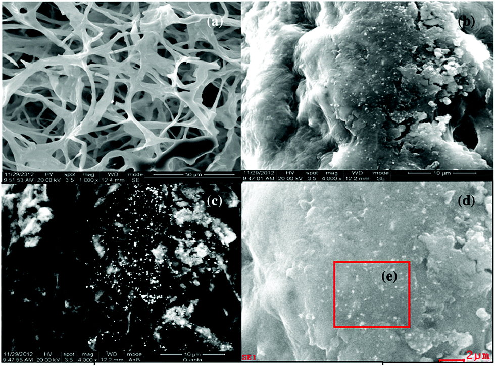 Metal chalcogenide quantum dots: biotechnological synthesis and 