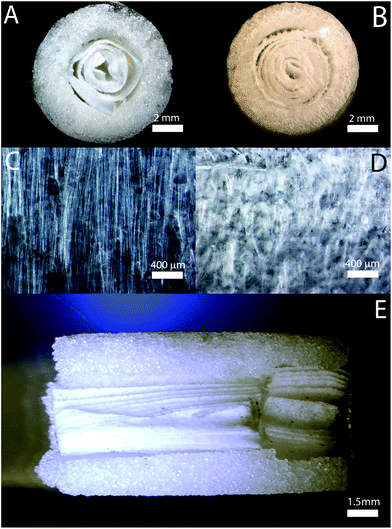 image file: c6ra08449d-f2.tif