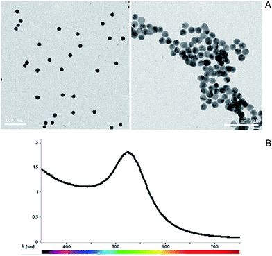 image file: c6ra08513j-f1.tif