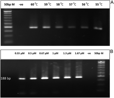 image file: c6ra08513j-f2.tif