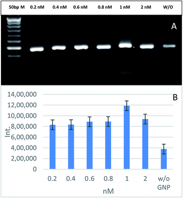 image file: c6ra08513j-f3.tif