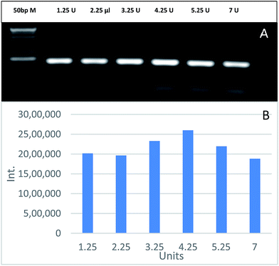 image file: c6ra08513j-f5.tif