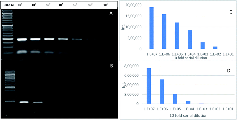 image file: c6ra08513j-f7.tif