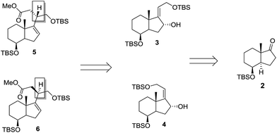 image file: c6ra08789b-s1.tif