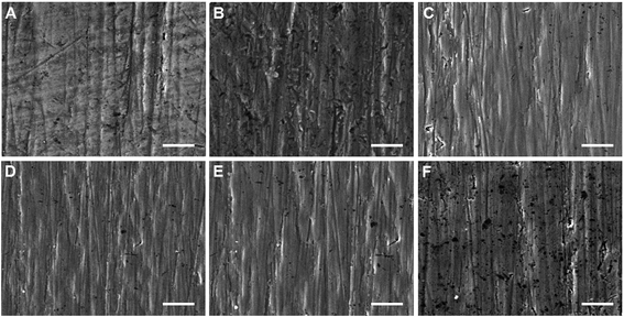 image file: c6ra08922d-f1.tif