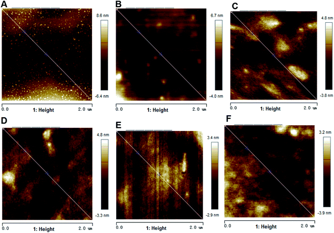 image file: c6ra08922d-f2.tif