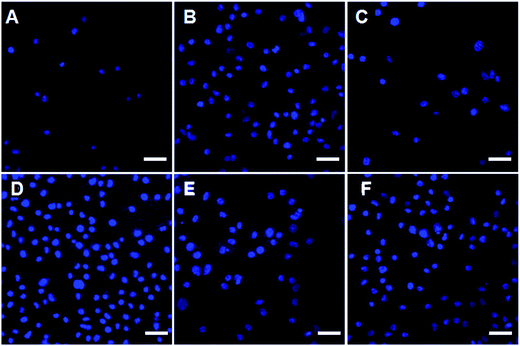 image file: c6ra08922d-f7.tif