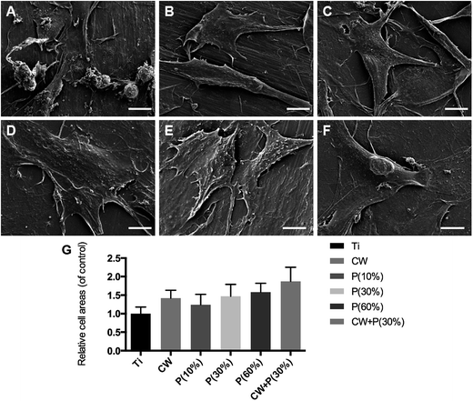 image file: c6ra08922d-f8.tif
