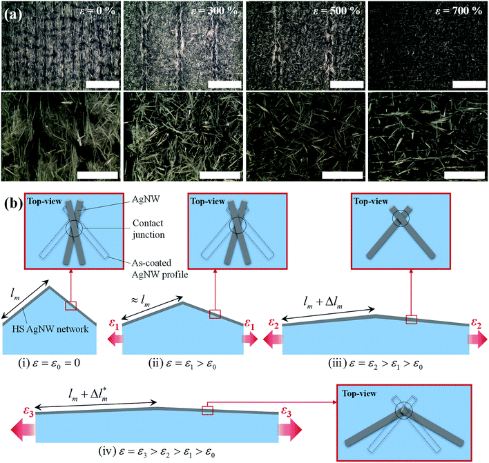 image file: c6ra09644a-f5.tif
