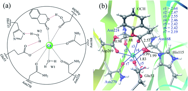 image file: c6ra09735a-f2.tif