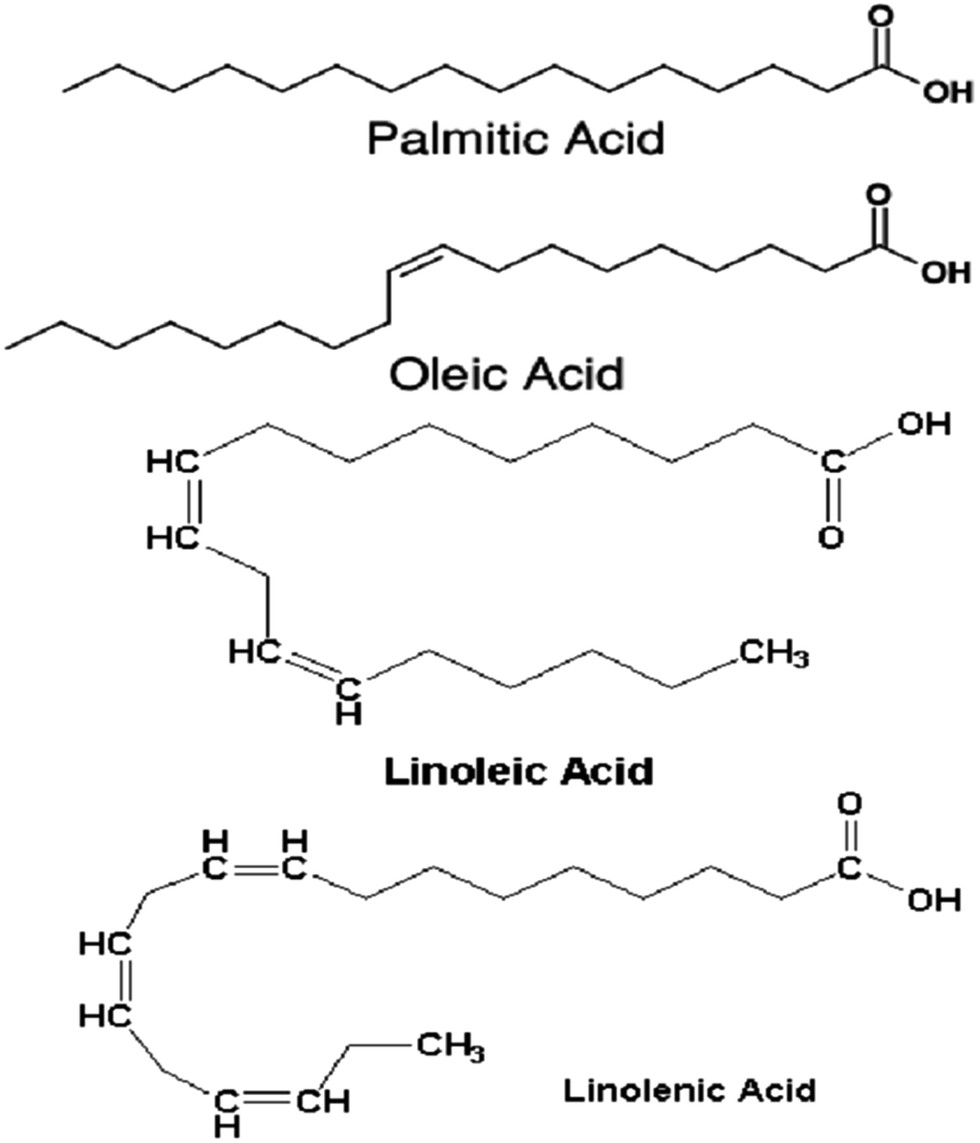 Retardation Of Oxidation And Material Degradation In Biodiesel A