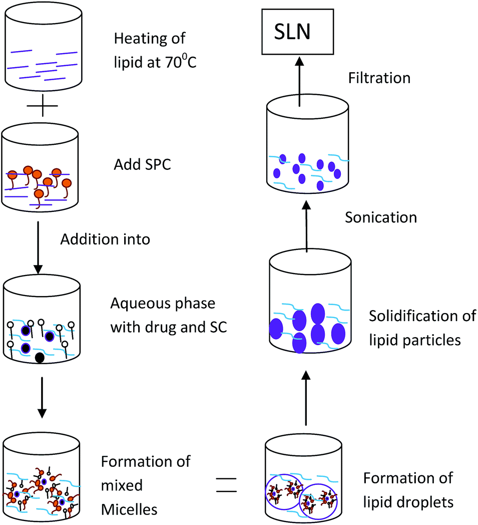 Preparation and characterization of solid lipid nanoparticles loaded ...