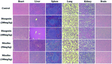 image file: c6ra11110f-f7.tif