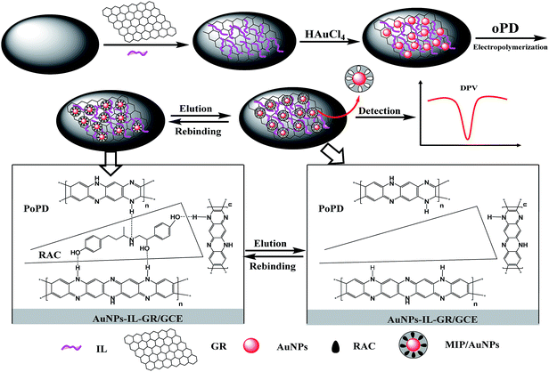 image file: c6ra11999a-s1.tif