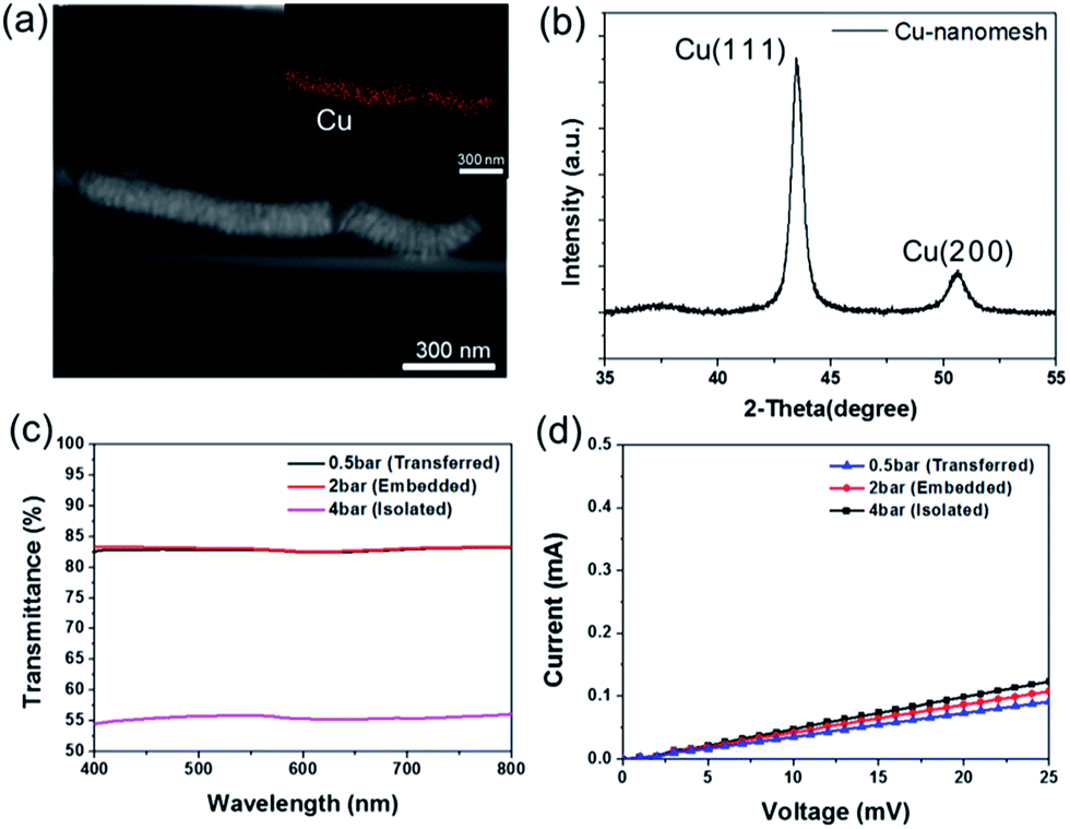 nanoMesh™ Transparent Conductive Film