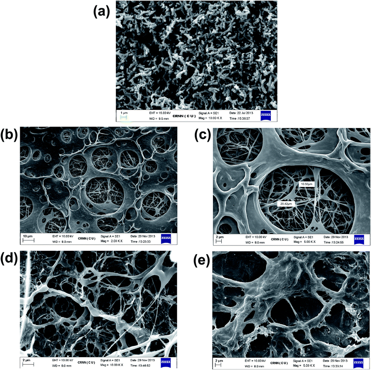 image file: c6ra12159d-f3.tif